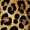 alicenstar